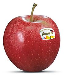 imported apple from Turkey | Italy | Poland | New zealand