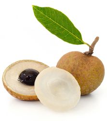 Longan