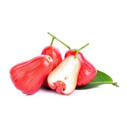 Rose Apple